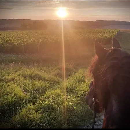 Campsite Les Crins Du Vignoble *