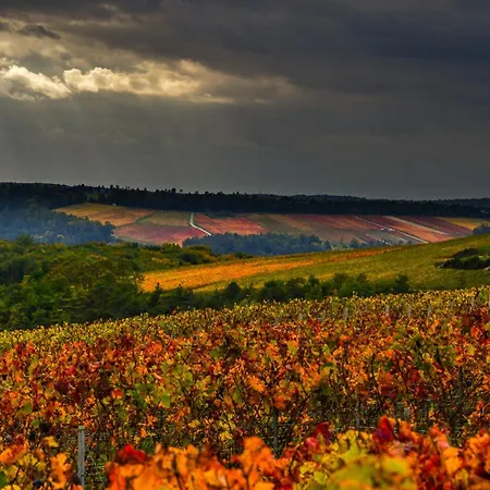 Les Crins Du Vignoble Noe-les-Mallets